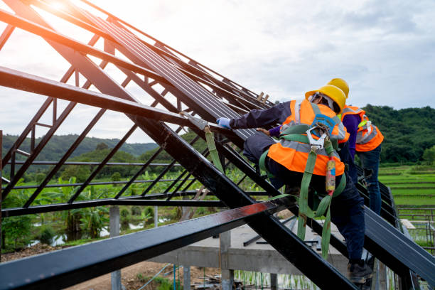 Best Roof Repair Specialists  in Birch Run, MI
