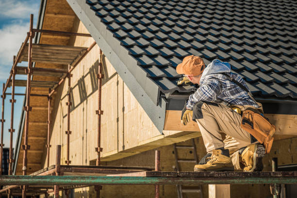 Best Roofing Contractor Near Me  in Birch Run, MI