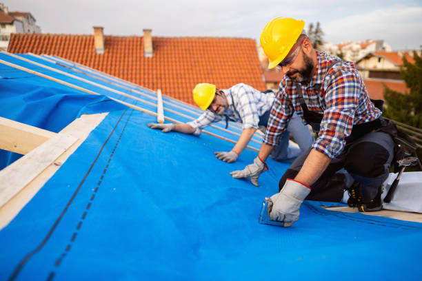 Best Tile Roofing Contractor  in Birch Run, MI