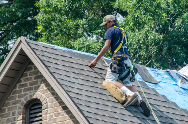 Best Roof Leak Repair  in Birch Run, MI